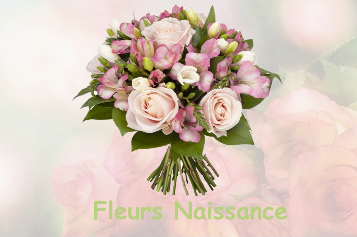fleurs naissance BONCOURT-SUR-MEUSE
