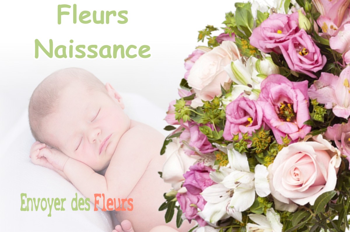 lIVRAISON FLEURS NAISSANCE à BONCOURT-SUR-MEUSE